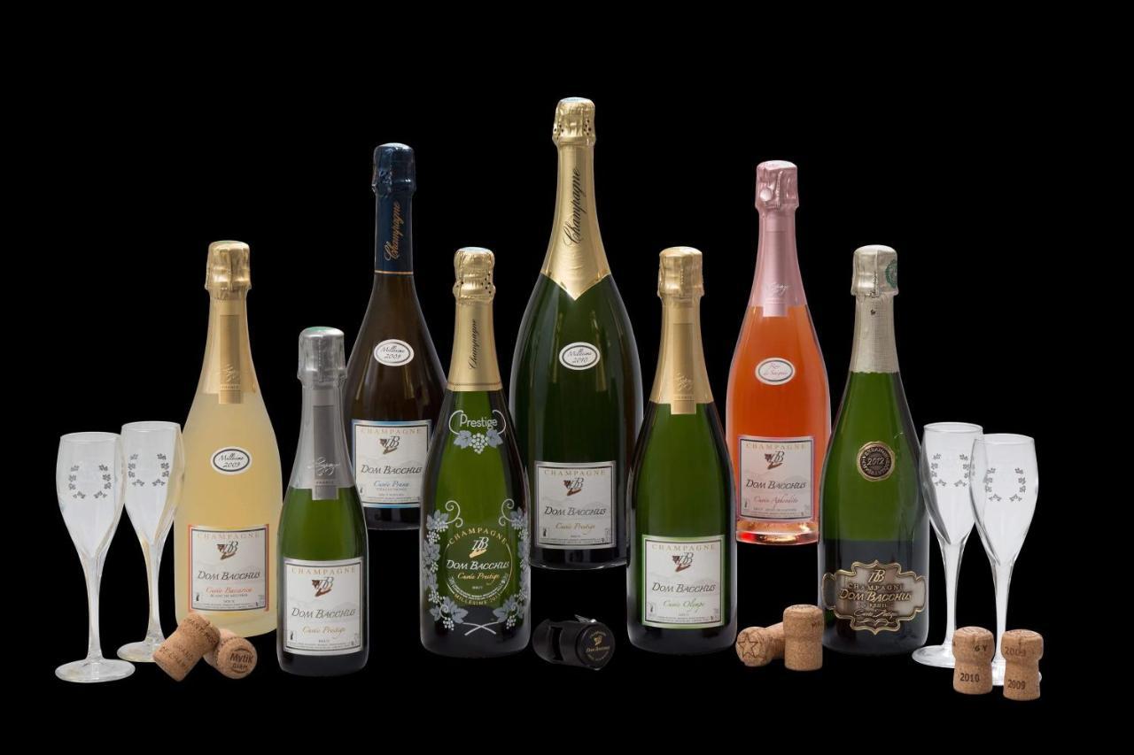 Domaine Bacchus Bed and Breakfast Reuil-sur-Marne Esterno foto