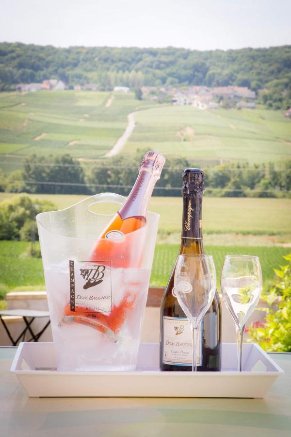 Domaine Bacchus Bed and Breakfast Reuil-sur-Marne Esterno foto