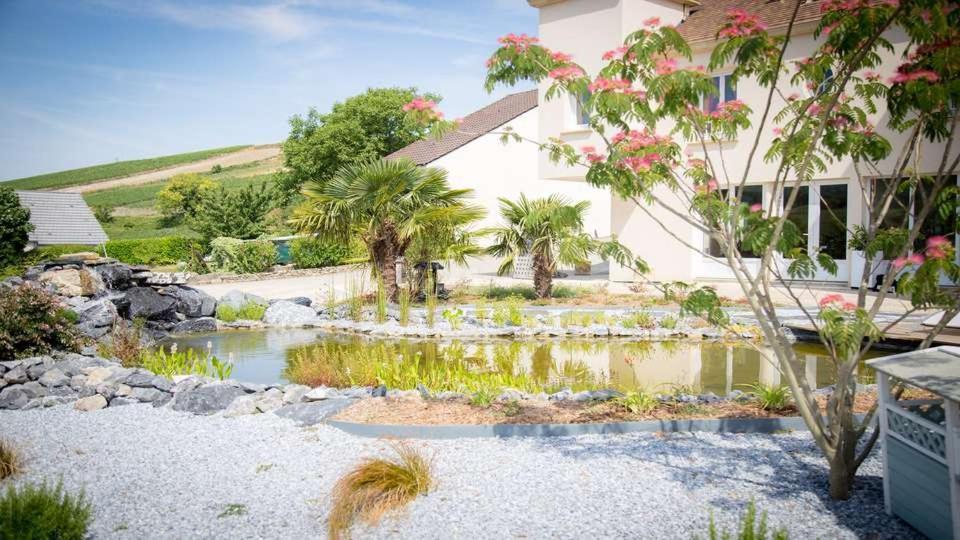 Domaine Bacchus Bed and Breakfast Reuil-sur-Marne Esterno foto