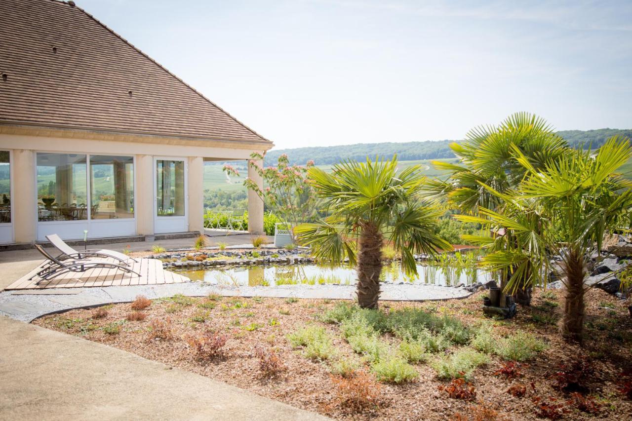 Domaine Bacchus Bed and Breakfast Reuil-sur-Marne Esterno foto