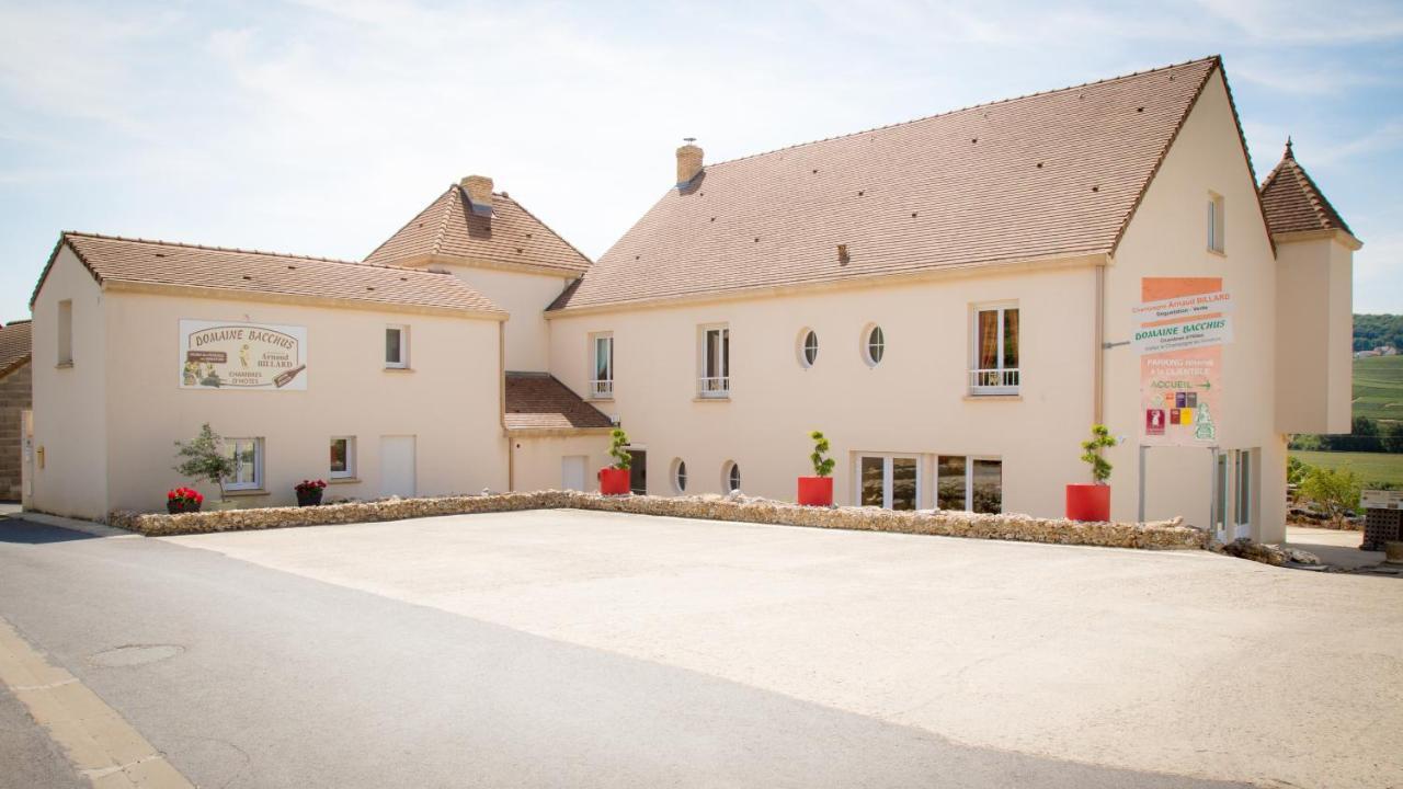 Domaine Bacchus Bed and Breakfast Reuil-sur-Marne Esterno foto